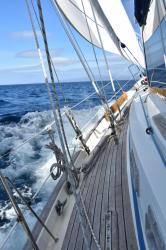 Fine sail down the east coast of Auckland Island: 